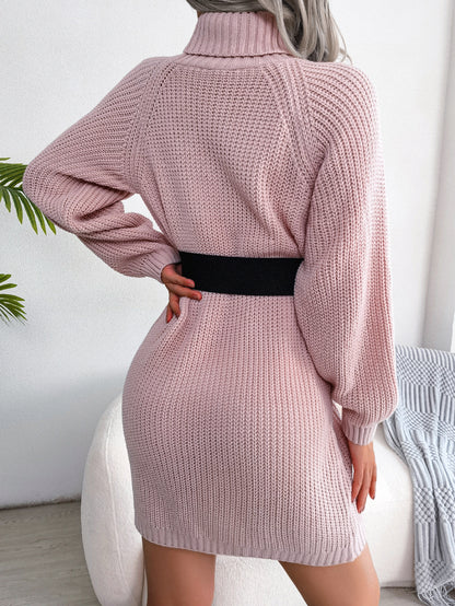 Casual Buttoned High Neck Long Sleeve Sweater Dress