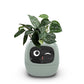 Smart Planter Endless Fun Over 49 Rich Expressions 7 Smart Sensors And AI Chips Make Raising Plants Easy And Fun